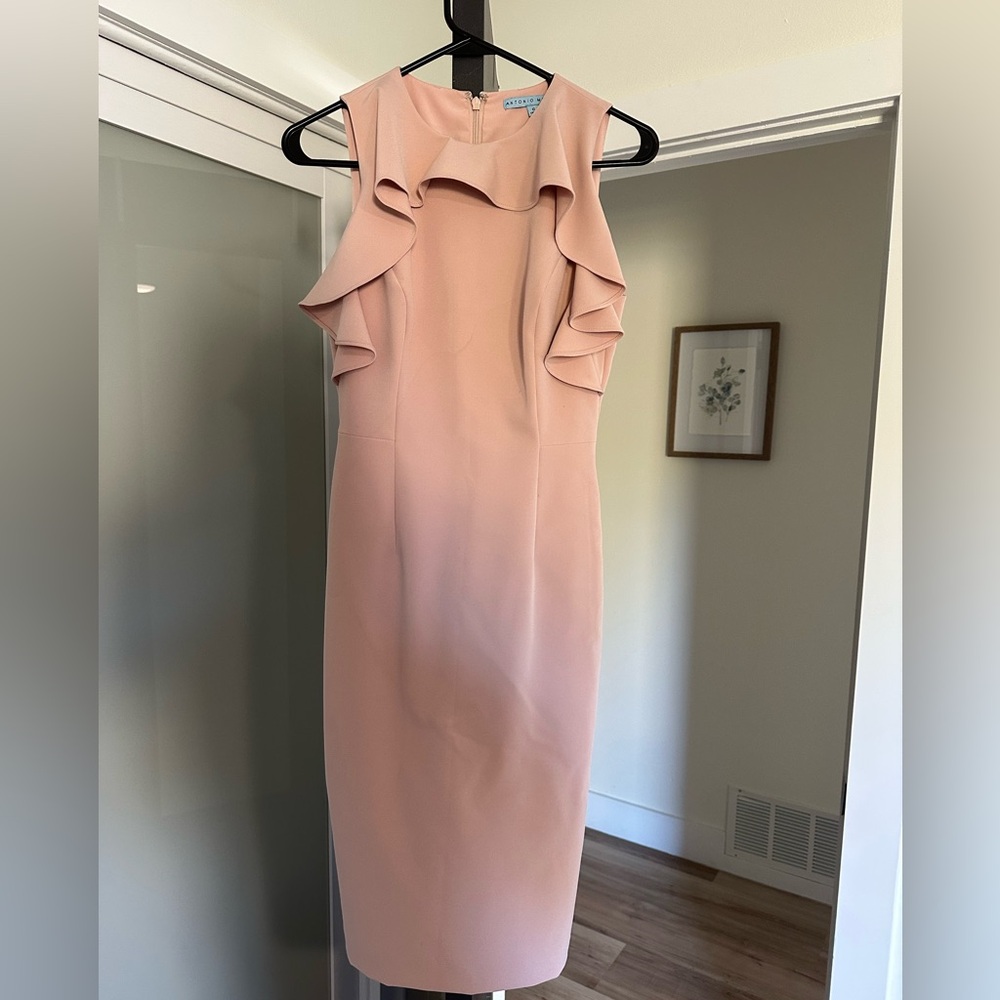 Antonio Melani Dress, size 0, great condition